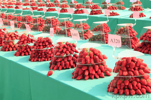 http://www.gdi8.cn/upload/shop/article/05219106871368347.jpg