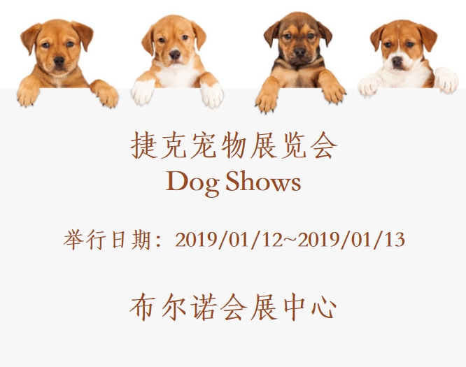 博覽會