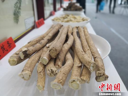 圖為在中國(甘肅)中醫(yī)藥產(chǎn)業(yè)博覽會(huì)上亮相的中藥材。　李亞龍 攝