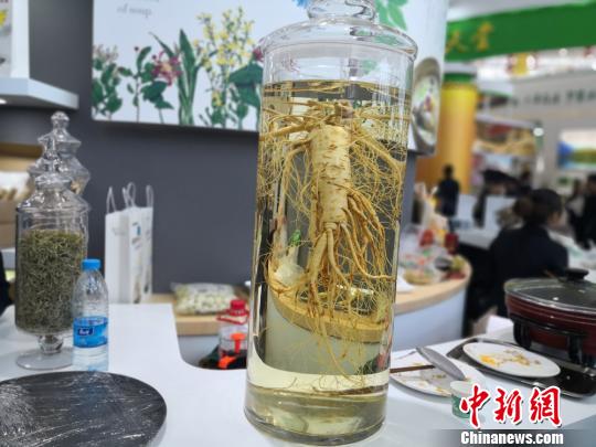 圖為中國(甘肅)中醫(yī)藥產(chǎn)業(yè)博覽會(huì)上展出的中藥材?！±顏嘄?攝