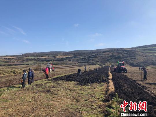 圖為在甘肅渭源縣會川鎮(zhèn)標(biāo)準(zhǔn)化種植的藥材地里，駛過的農(nóng)用機車快速地將黃芪從土里翻出。　徐雪 攝