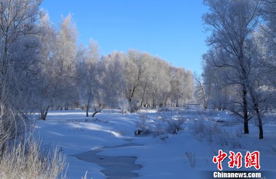 “醉美雪樺”及當地民俗成為冬季冰雪旅游的亮點。　哈巴河縣委宣傳部供圖 攝